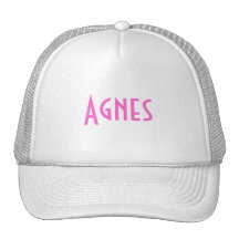 Agnes Gift Mesh Hat