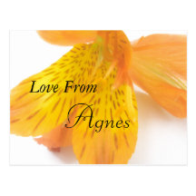 Agnes Gift Post Card