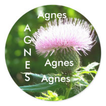 Agnes name stickers