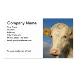 Agricultural Business Card