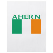 Ahern Irish Flag Flyer Design