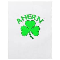 Ahern Irish Flag Flyers