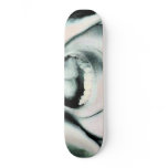 ahhh skate decks