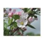 Ahrista appleflower post cards