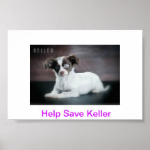 Aide sauver Keller Affiche