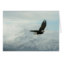 Aigle chauve et montagnes cartes de vœux