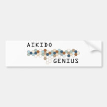 Aikido Genius Bumper Sticker