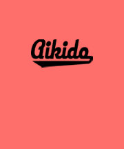 aikido shirt