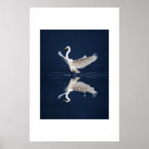 Ailes de dentelle sur le bleu posters