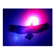 Ailes d'Eagle - Eagle en vol Cartes Postales