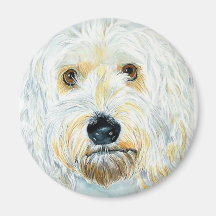 Aimant blanc de Labrdoodle Maggie