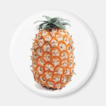 Aimant d'ananas des Açores