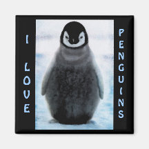 Aimant de beaux-arts de Pingouin-amant de bébé de 