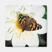 Aimant de carré de papillon de fleur - 1
