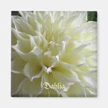Aimant de dahlia