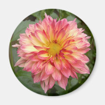 Aimant de dahlia