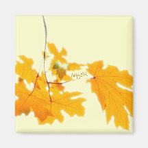 Aimant de feuille d'automne