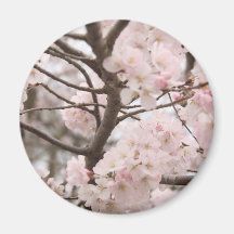 Aimant de fleurs de cerisier (rond)