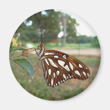 Aimant de papillon