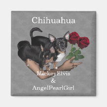 Aimant de roses de chiwawa