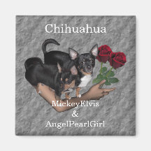 Aimant de roses de chiwawa