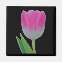Aimant de tulipe