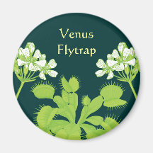 Aimant floral d'art d'attrape-mouche de Vénus