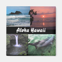 Aimant hawaïen de collection de paysage