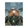 Air Force pilot Post Cards