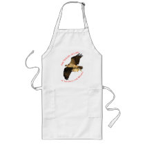 Air Travel is Like Aprons