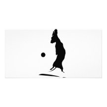 Airborne Weiner Custom Photo Card