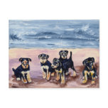 Airedale Puppies Postcard