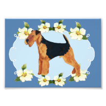 Airedale Terrier Blue Dogwood Art Photo