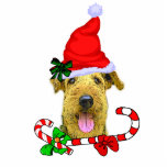 Airedale Terrier Christmas Ornament Photo Sculpture