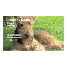 Airedale Terrier Dog Business Card