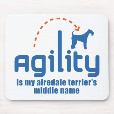Airedale Terrier by Pawdboy