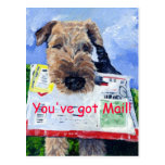 Airedale Terrier Postcard!