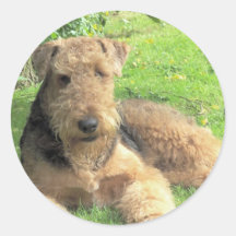 Airedale Terrier Sticker