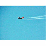 Airplane Jet Mig photo sculptures