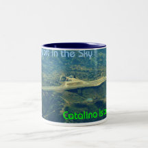 Airport in the Sky Mugs