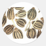 Ajowan Stickers