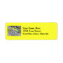 AJS Popper "Green Greenie" Saltwater Fishing Lure Return Address Label