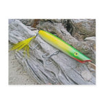 AJS Popper "Green Greenie" Saltwater Fishing Lure Postcard