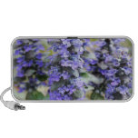 Ajuga Portable Sneakers iPhone Speakers