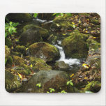 Akaka Fall smaller trail stream 2 Mouse Pad
