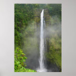 Akaka Falls - Hawaii posters