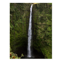 Akaka Falls Postcard