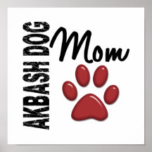Akbash Dog Mom 2 Posters