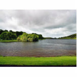 Akes Lough Gur Clouds Trees Ireland photo sculptures