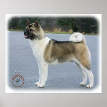 Akita 8P004D-12 Affiches